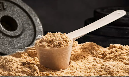 What is Whey Protein? How It Impacts Your Body?