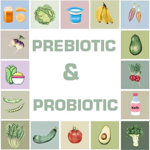 TWO FACTORS OF GOOD GUT HEALTH-PREBIOTICS & PROBIOTICS